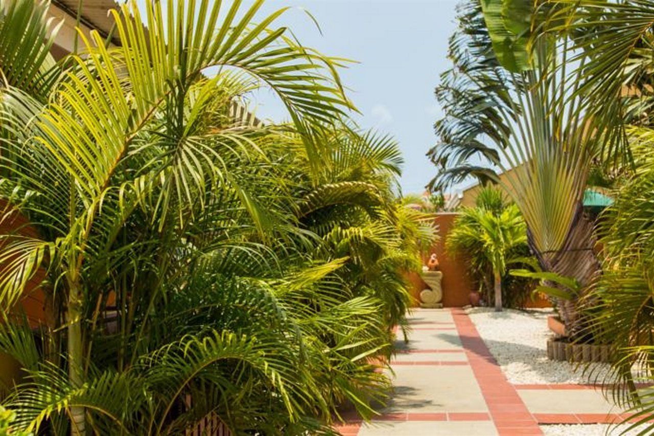 Carinas Studio Apartments Palm Beach Екстер'єр фото