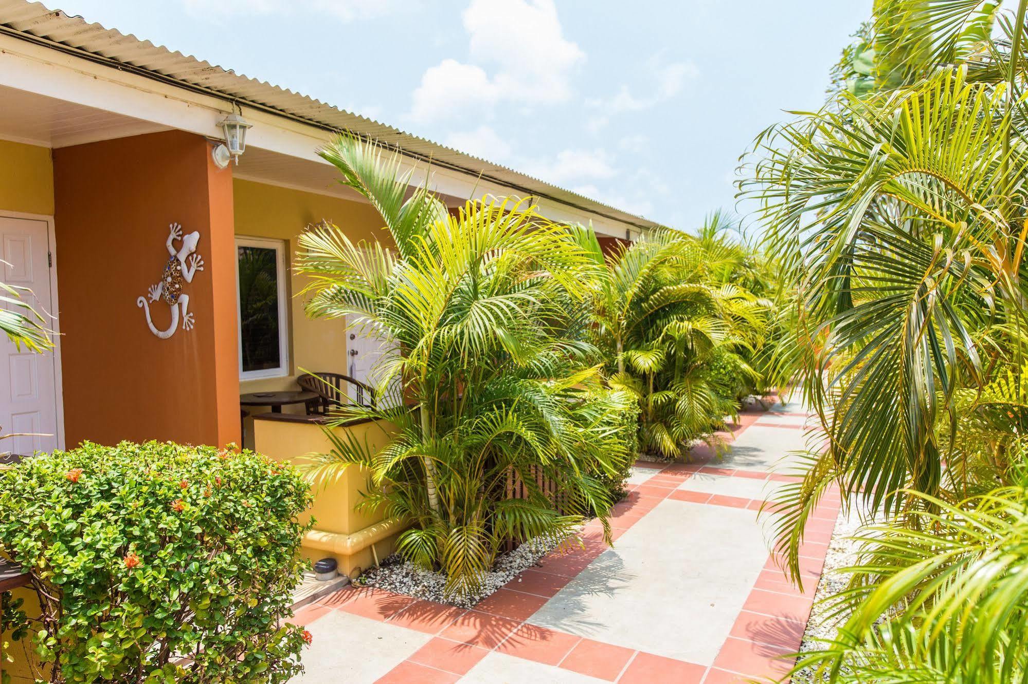 Carinas Studio Apartments Palm Beach Екстер'єр фото