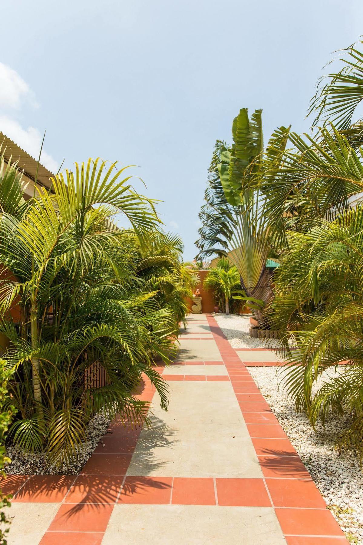 Carinas Studio Apartments Palm Beach Екстер'єр фото